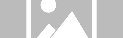 国王寻找长期合作的控卫 有意加兰或特雷-杨